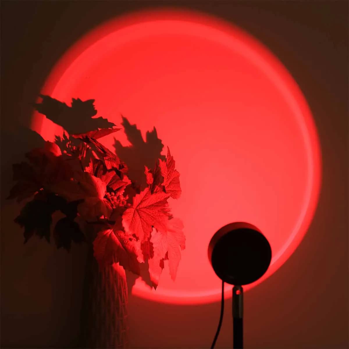 Lumière de coucher de soleil avec télécommande USB, 16 couleurs, lumière ambiante, photographie, pri