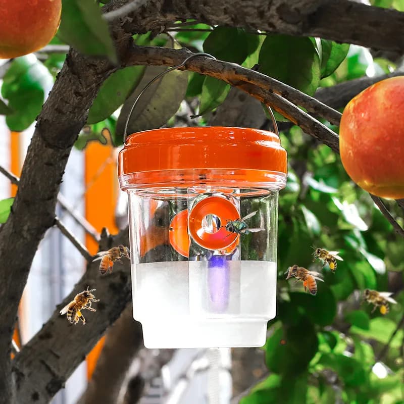 Piège à insectes extérieur en plastique transparent avec couvercle – efficace pour attraper des mouc