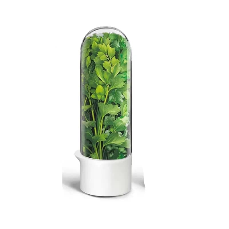 Bouteille de conservation des herbes, conteneur de stockage d'économie fraîche, conservation de la f