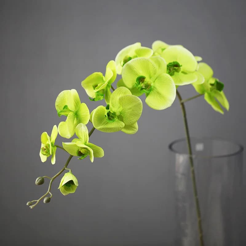 Fleur artificielle orchidée pour la décoration de la maison, papillon, accessoires floraux, mariage,