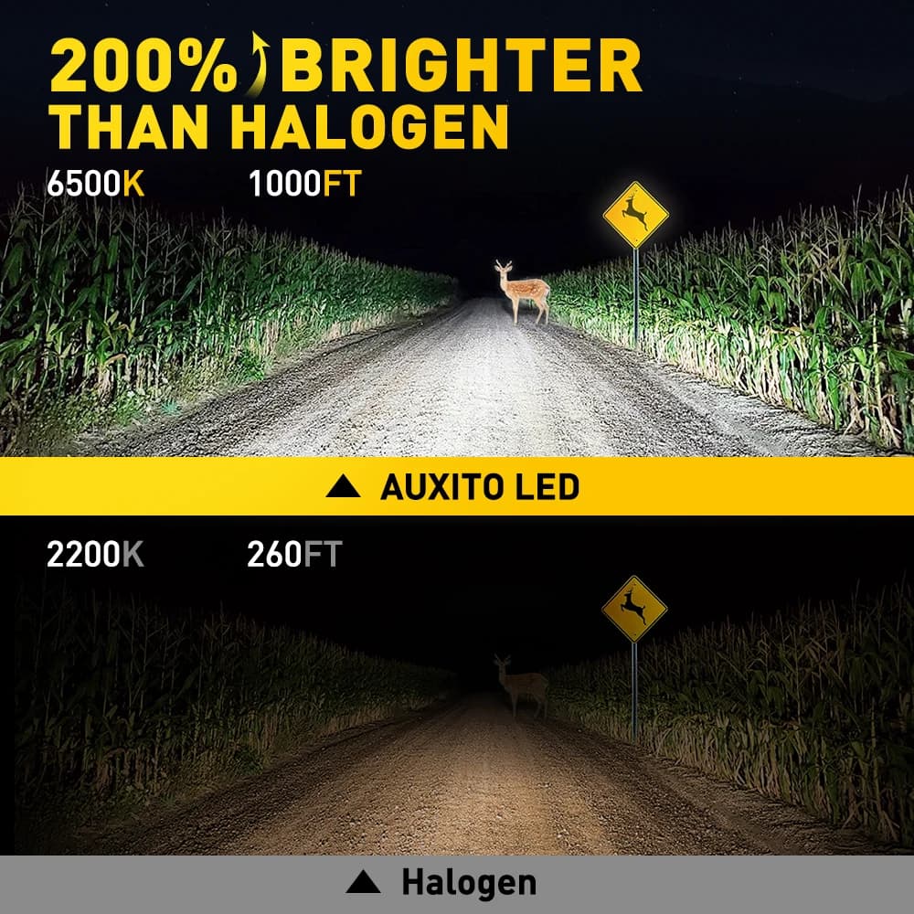 AUXITO 2 pièces 12000LM H1 LED ampoule de phare H1 LED Canbus voiture phare antibrouillard 6500K bla