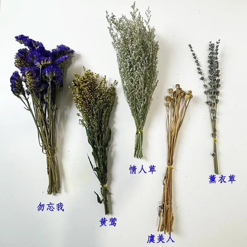 Nouveau paysage pour hamster, fleurs séchées, plantes naturelles, feuilles, matelas spécial pour ham