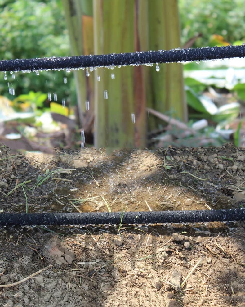 Tuyau d'arrosage Micro goutte-à-goutte 10m/20m, 4/8mm, Tube Anti-vieillissement, perméable, pour jar