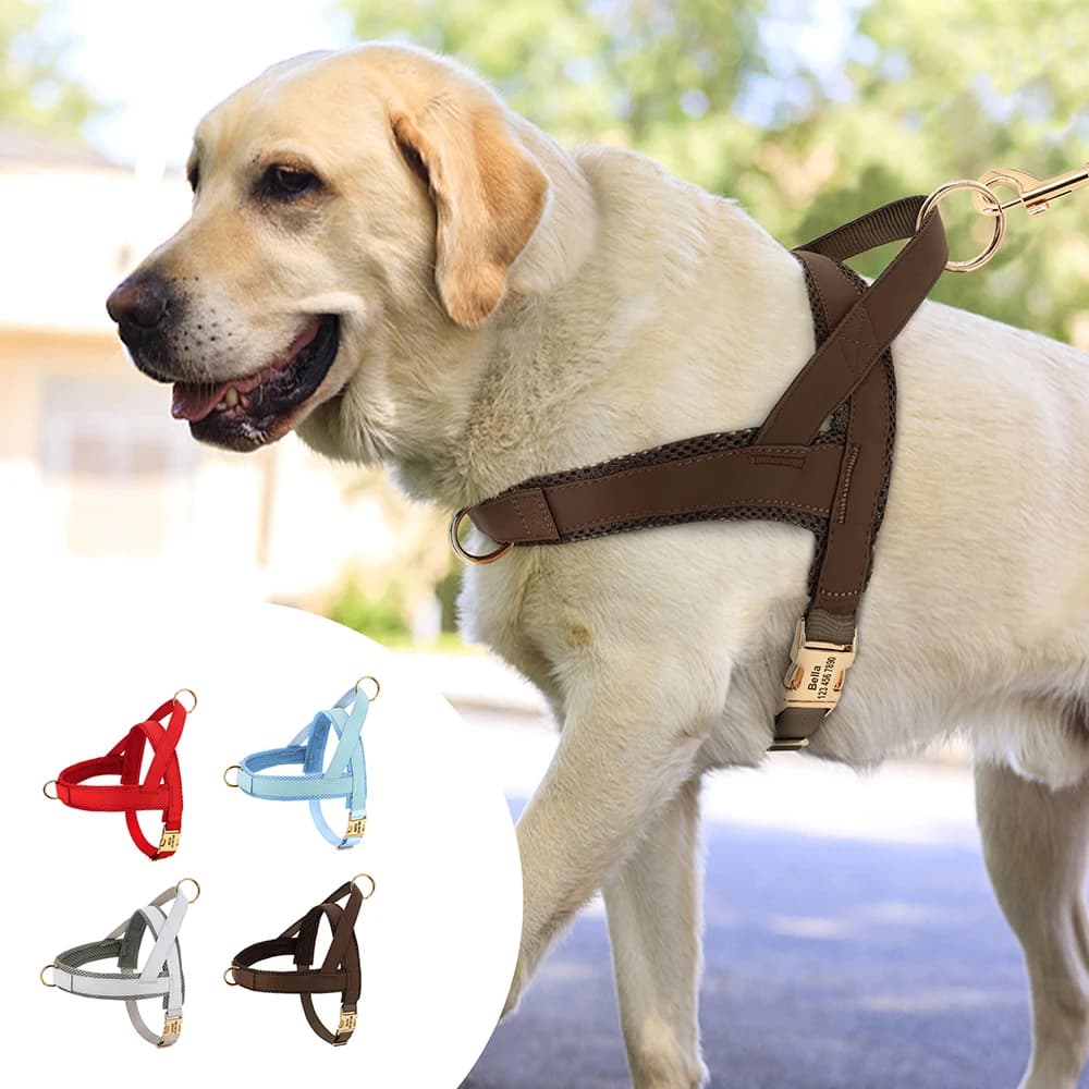 Harnais personnalisé pour grands chiens, gilet réglable en maille gravée en cuir pour animaux de com