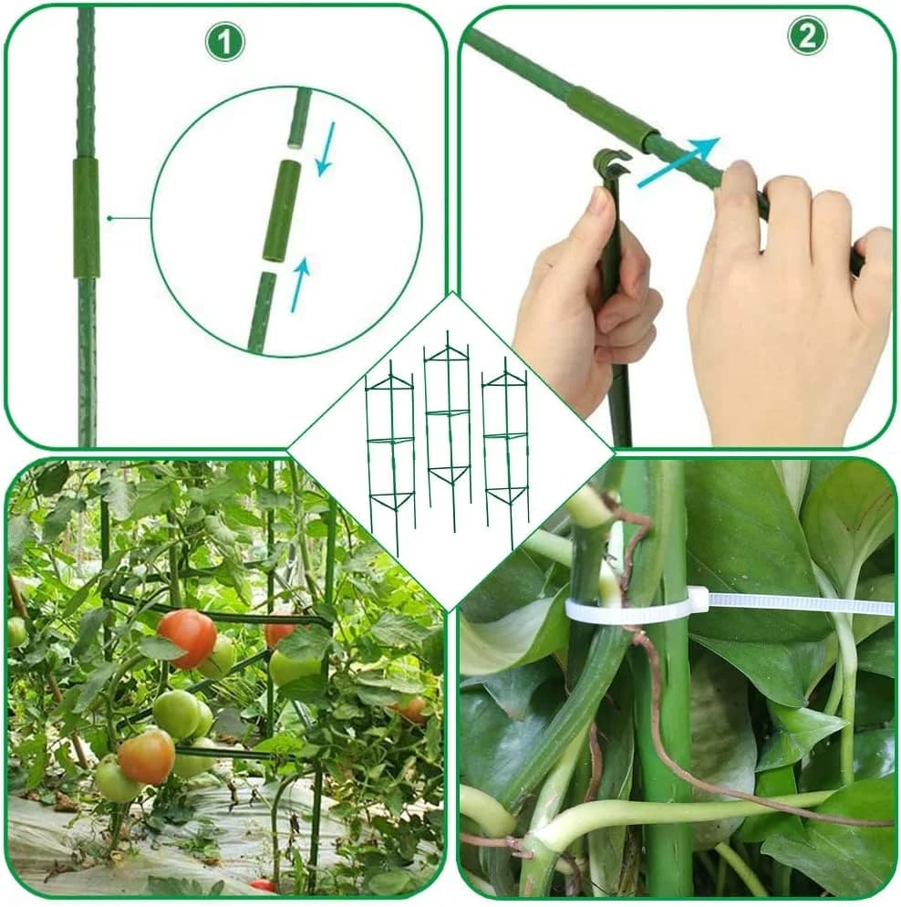 Tomates, jusqu'à 51 amarans de piquets de plantes, grilles végétales assemblées pour plantes grimpan