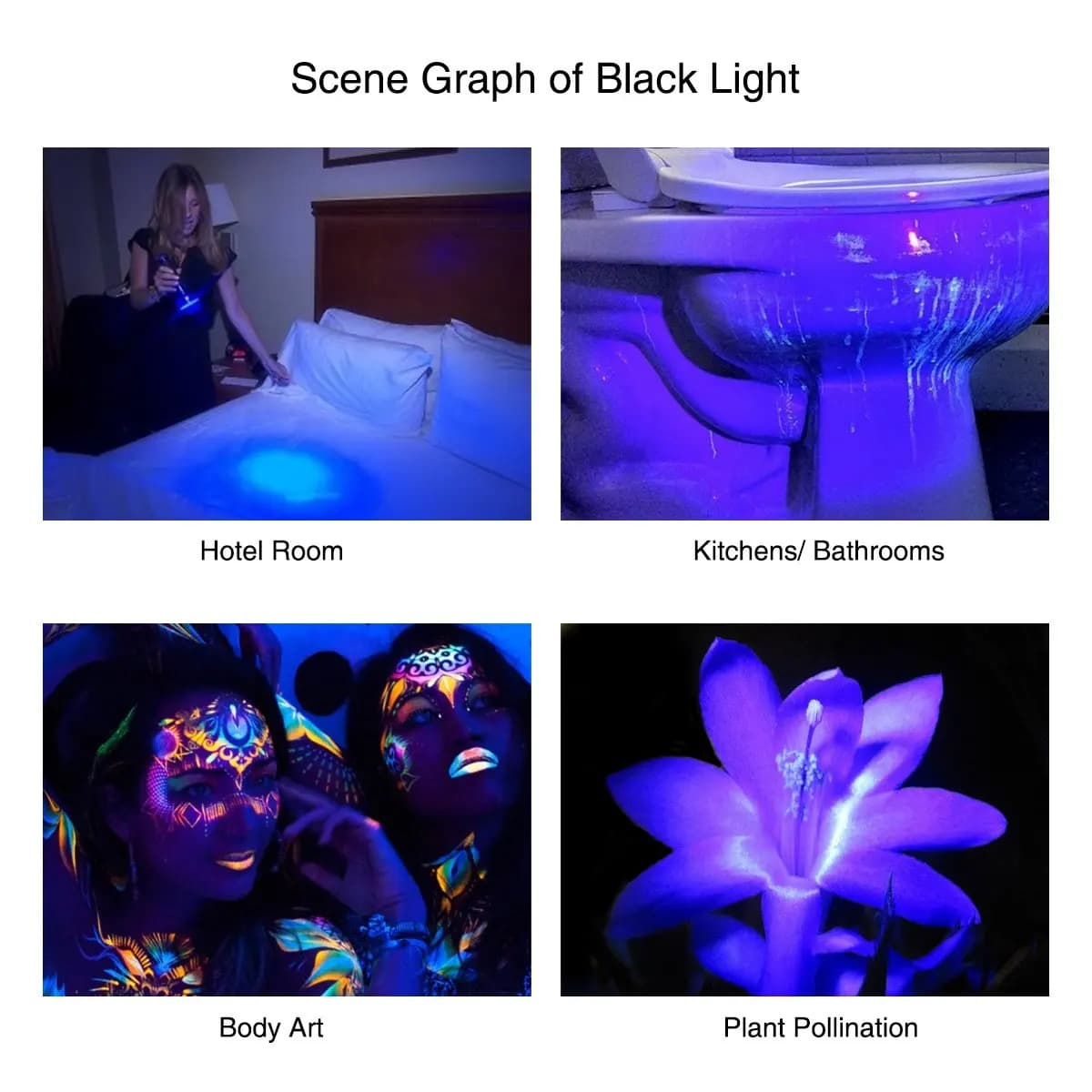 Lampe de poche UV 395nm lampes de poche à lumière noire Zoomable torche UV lampes de poche à lumière