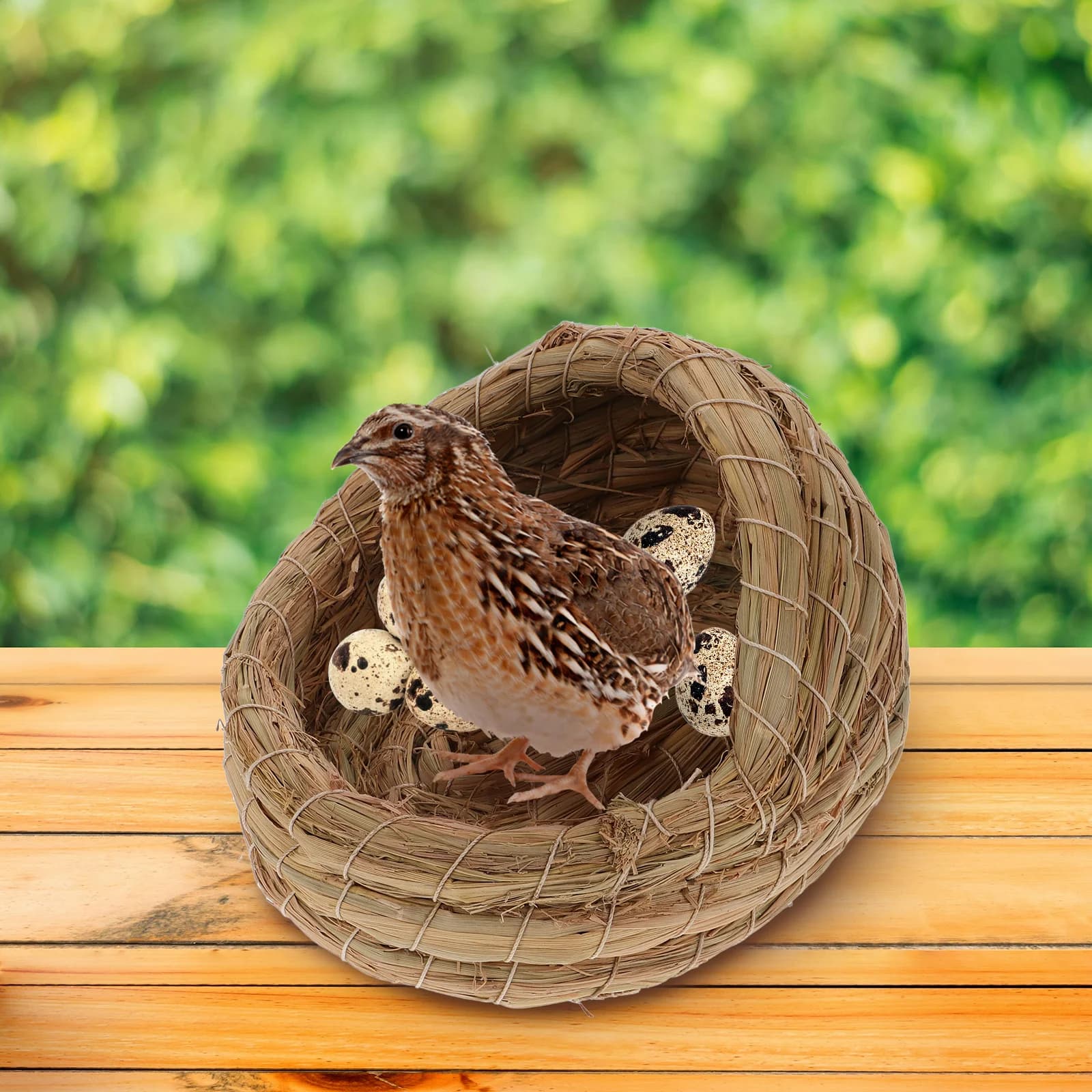 Nid de poulet tissé en paille, nid de serre pour la pose d'œufs, crèche d'oiseaux artificiels, caban