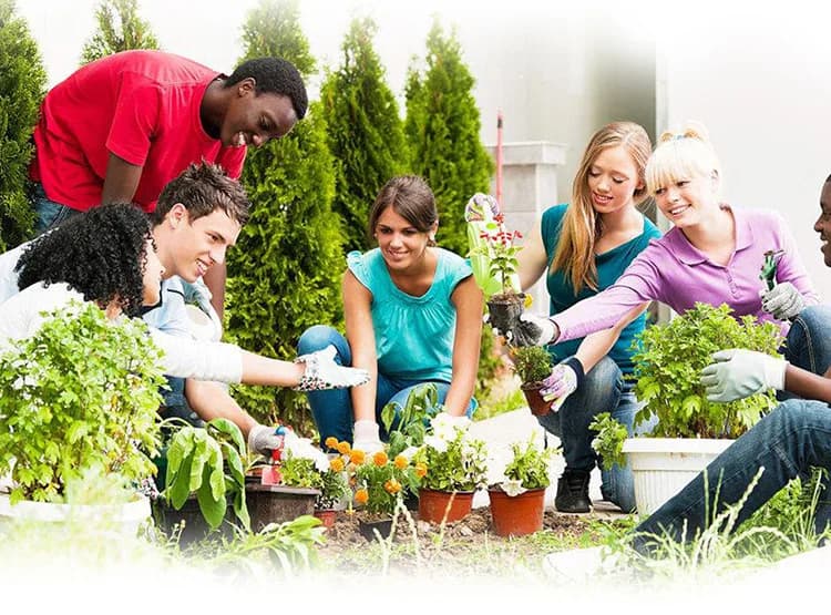 Support de fleurs de balcon en bois massif, support de plantes succulentes pour salon, support de bo