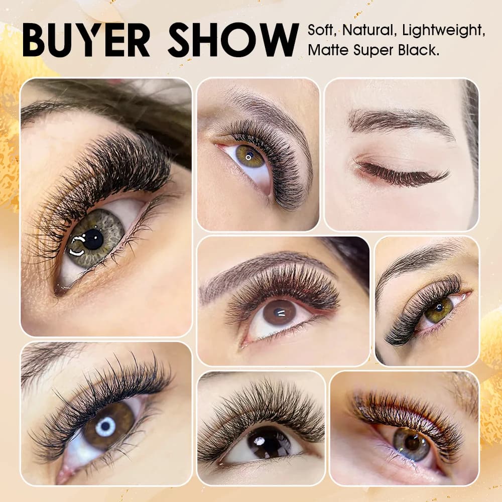 MASSCAKU 3D 4D 5D 6D 7D 8D 10D W en forme de cils naturel doux léger individuel W Style pré-fabriqué