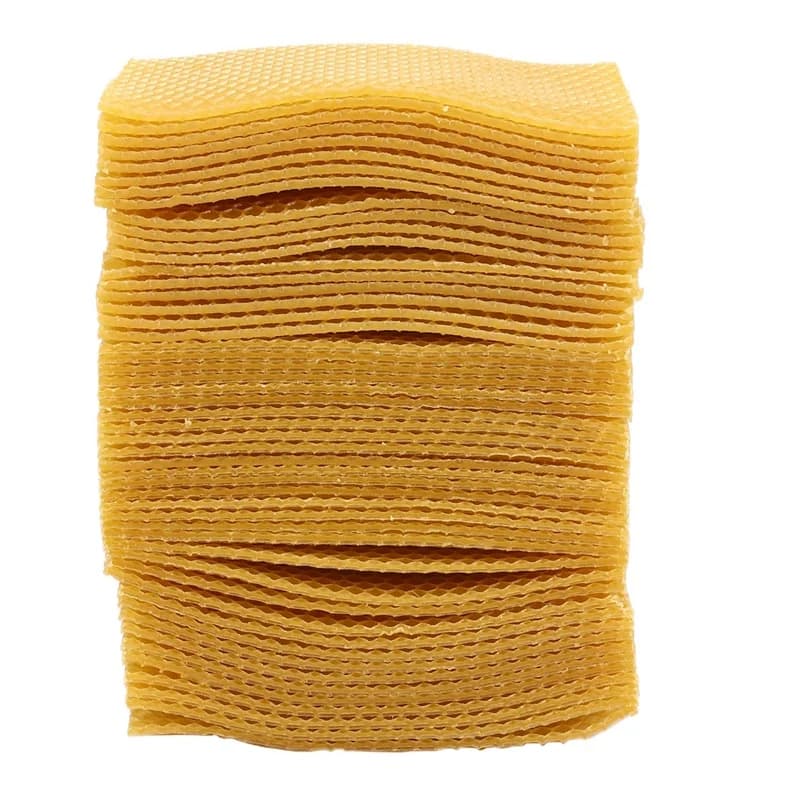 Ruche pour apiculture, 50 pièces, cadre de base en nid d'abeille, ruche de jardin, outils pour l'api