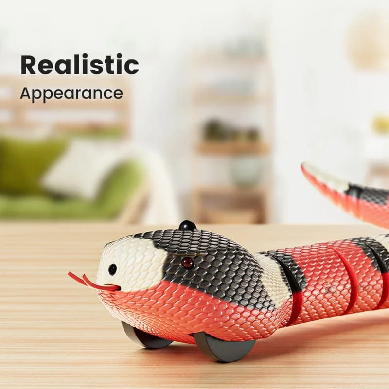 Jouets interactifs électriques pour chats, salle de détection intelligente, chargement USB, accessoi