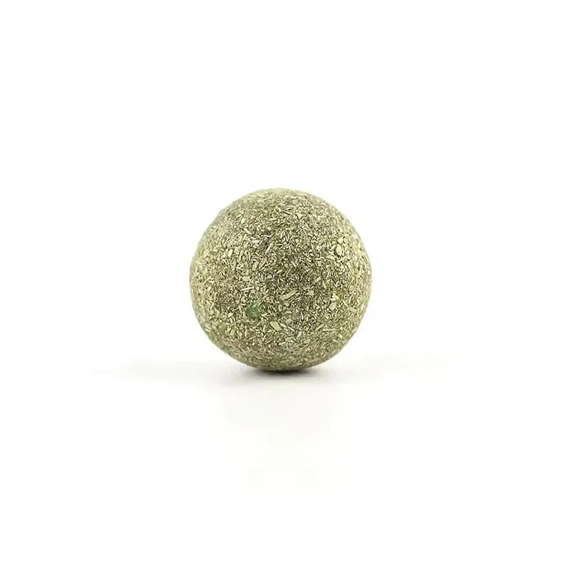 Friandises d'herbe à chat 100% naturelles, sûres et non addictives, utilisées pour compléter les jou