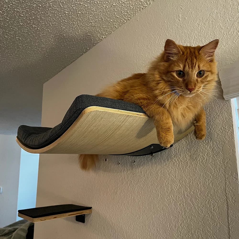 Lit étagère murale pour chat avec coussin doux, perchoir pour chat, meubles d'intérieur pour chatons