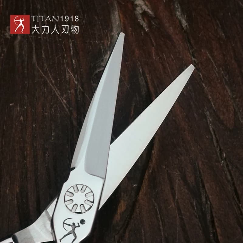 Titan ciseaux à cheveux amincissement barbier coupe ciseaux à cheveux ciseaux outils ciseaux de coif
