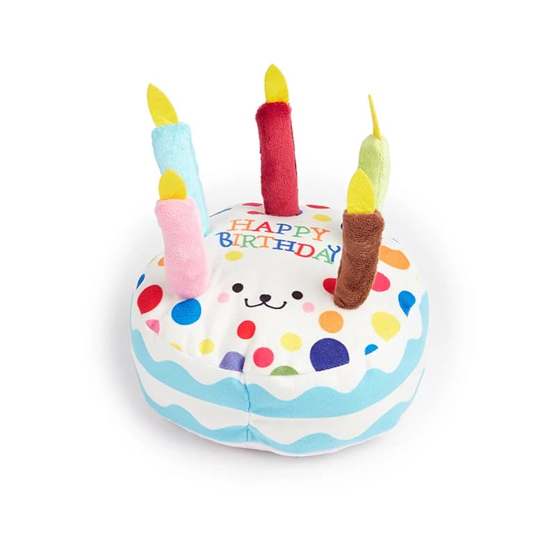 Gâteau d'anniversaire pour chien de compagnie, jouets d'intérêt, résistant aux morsures, molaire pou
