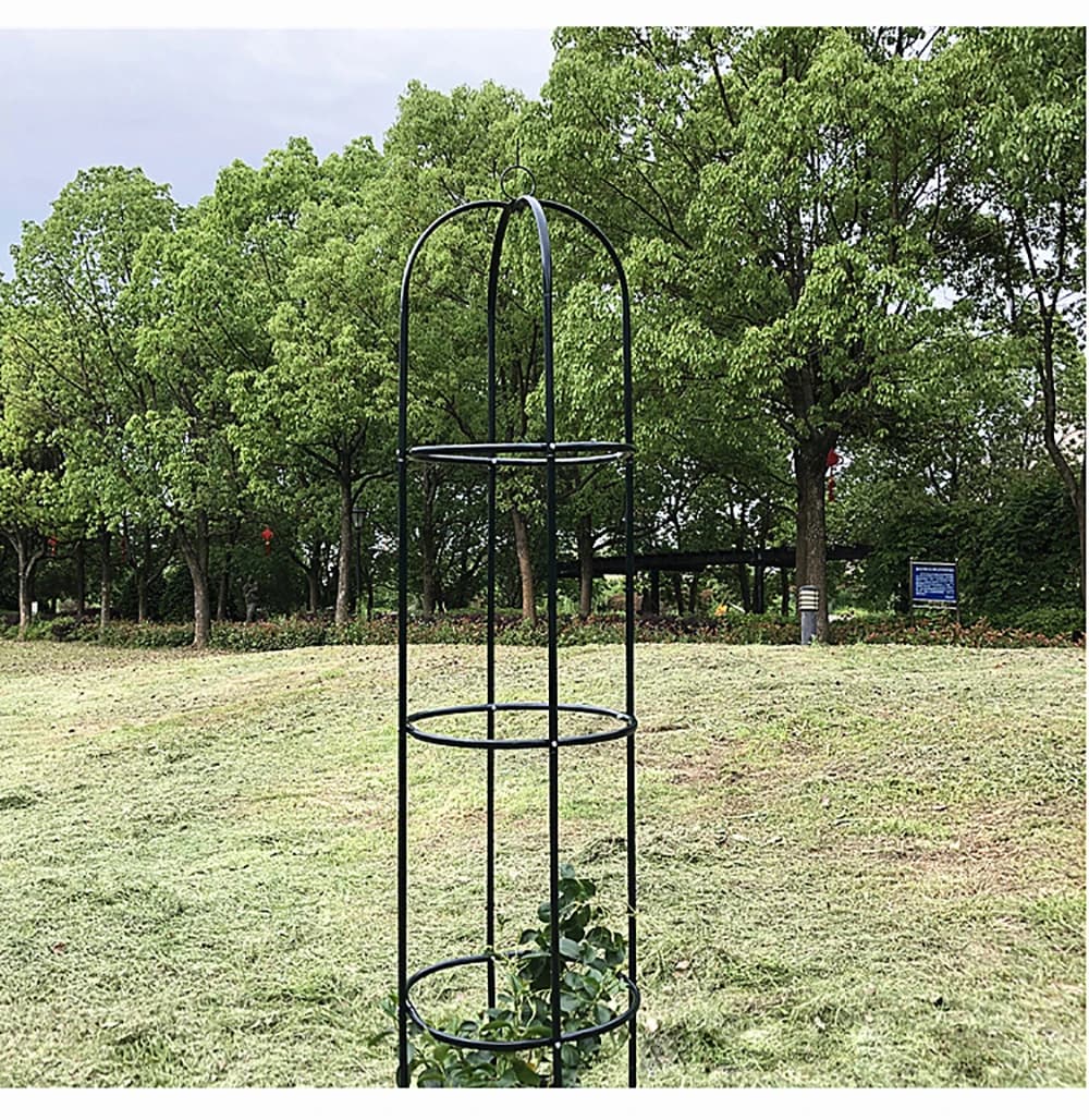 Treillis de jardin en métal réglable recommandé, vignes grimpantes et fleurs, support de plante en d