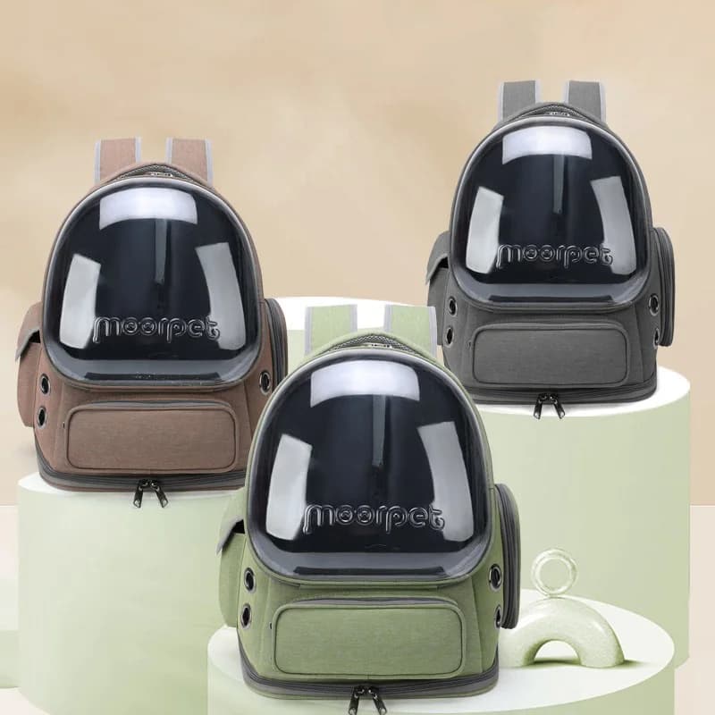 Sac de transport Transparent pour animaux de compagnie, sac à dos de voyage en plein air pour chats,