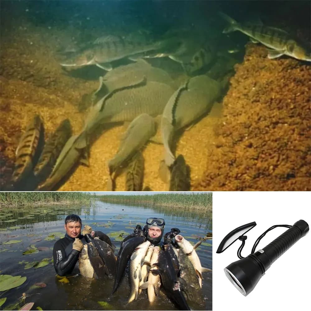 Lampe de poche sous-marine professionnelle à LED, chasse sous-marine, chasse sous-marine, chasse sou
