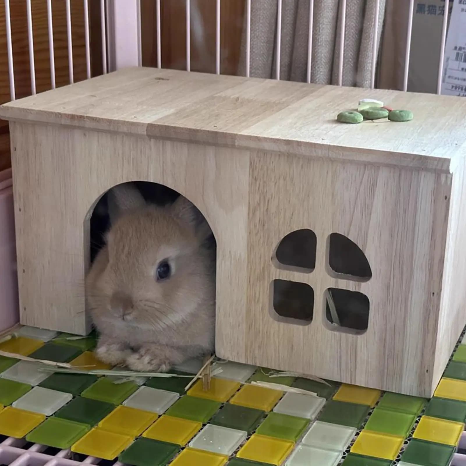 Cage pour animaux de compagnie en bois d'intérieur, habitat avec fenêtre et porte, ventilé, petite c