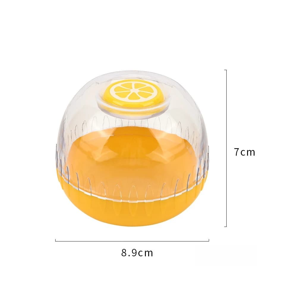 Boîte de conservation des fruits, réfrigérateur, conteneur de stockage scellé en plastique pour avoc