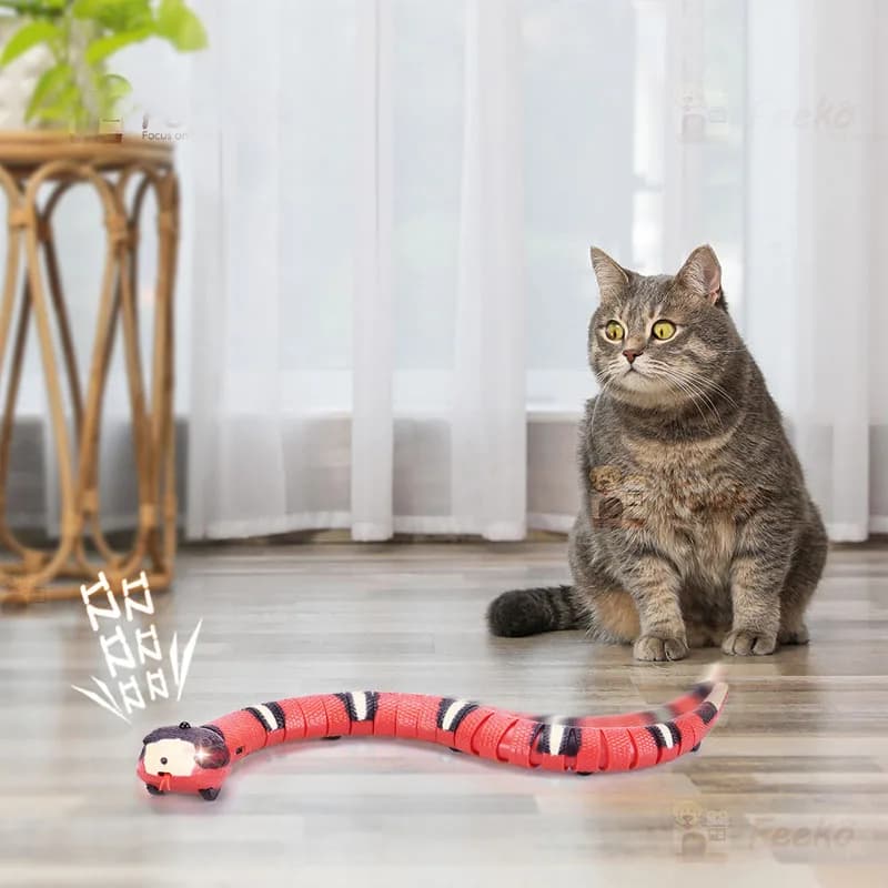 Jouets interactifs électriques pour chats, salle de détection intelligente, chargement USB, accessoi