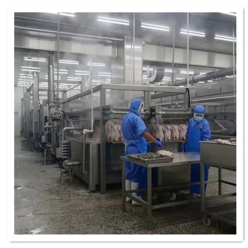Machine industrielle de torréfaction de vente chaude 2024 pour le contrôle industriel de température