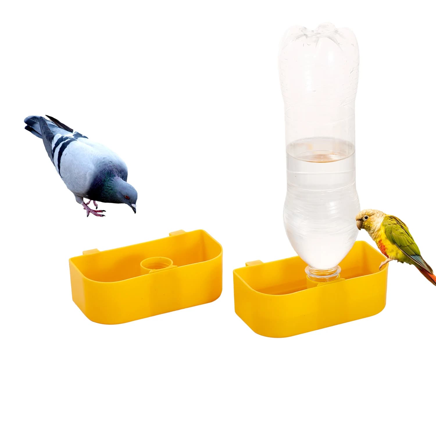 Abreuvoir automatique pour oiseaux, distributeur d'eau pour perroquet, Pigeon, caille, poulet, pouss