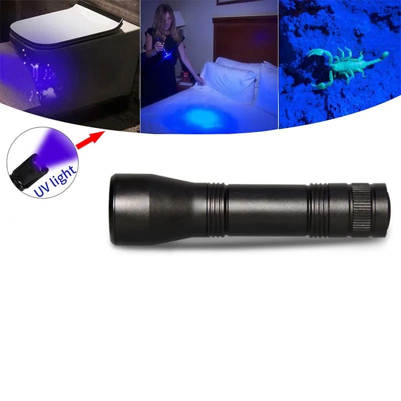 Lampe de poche UV 395nm lampes de poche à lumière noire Zoomable torche UV lampes de poche à lumière