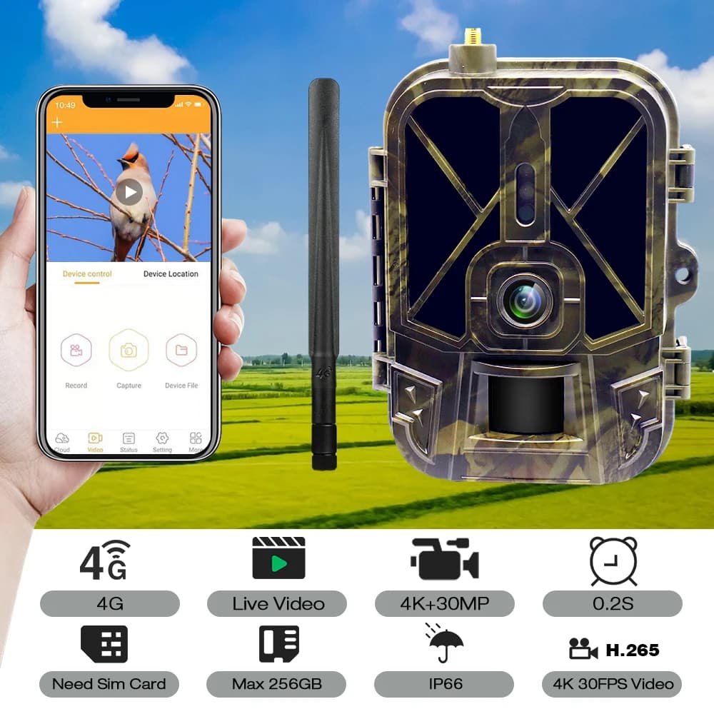 Caméra de surveillance 4K en direct 4G 30MP avec service cloud APP, caméras de chasse, batterie Li-i