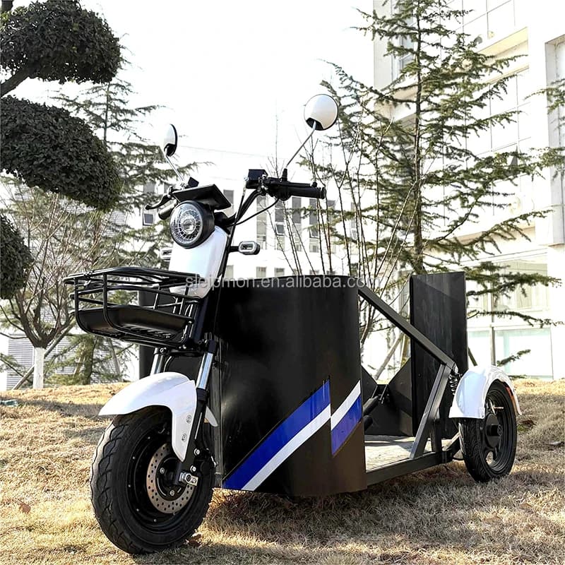 Les fabricants vendent des tricycles électriques 800 W spécifiquement conçus pour les personnes hand