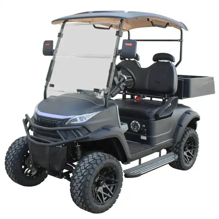 Voiture de golf électrique personnalisée, Bumoso, Ew Energy, Mini chariot de golf, html, 2 places