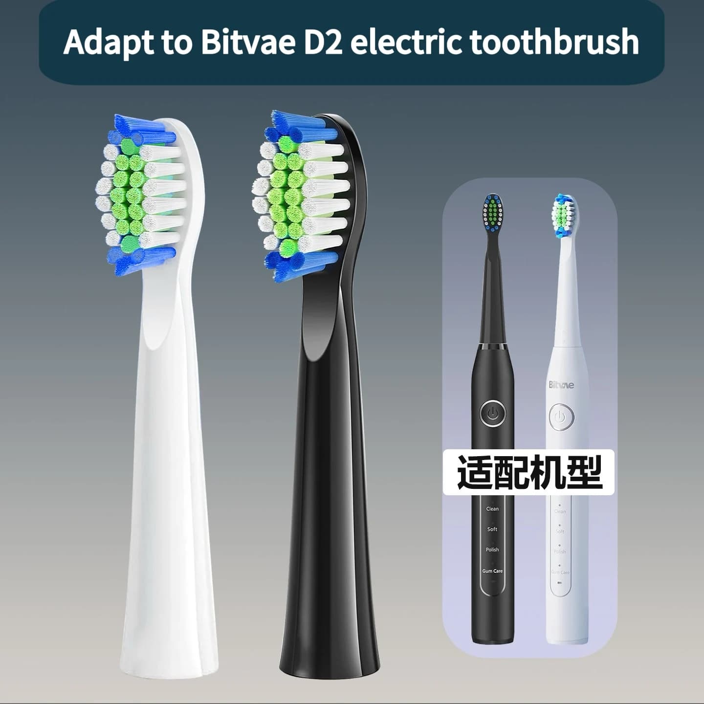 Compatible avec les têtes de rechange pour brosse à dents électrique Bitvae D2, pour brosse à dents 