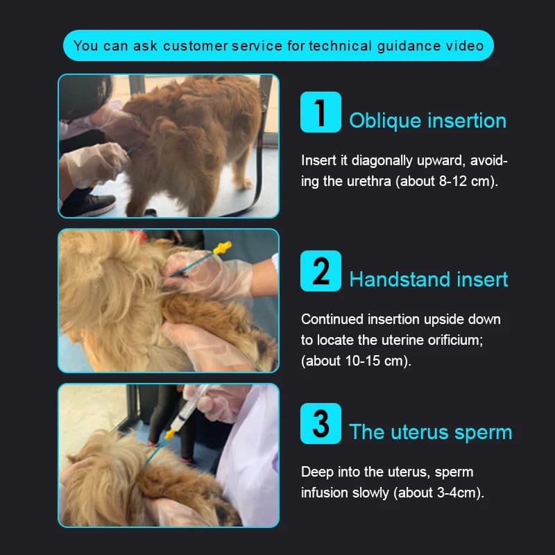 100 pièces en gros sperme canin Injection sperme déposition insémination artificielle chien de compa