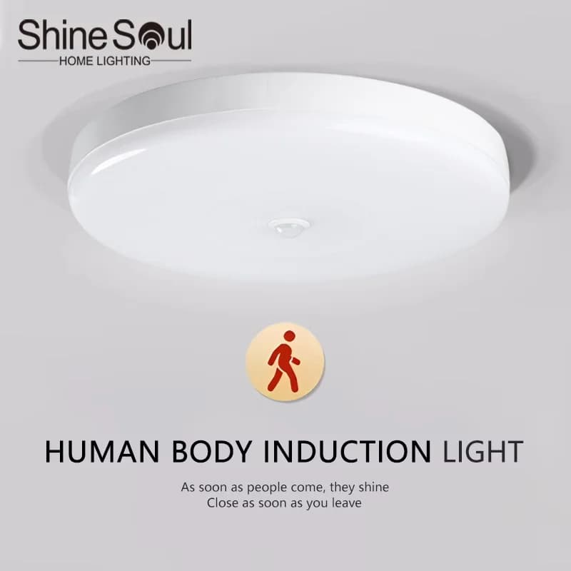 Plafonnier LED à induction infrarouge pour maison, garage, grenier, porte, couloir, escalier, entrep