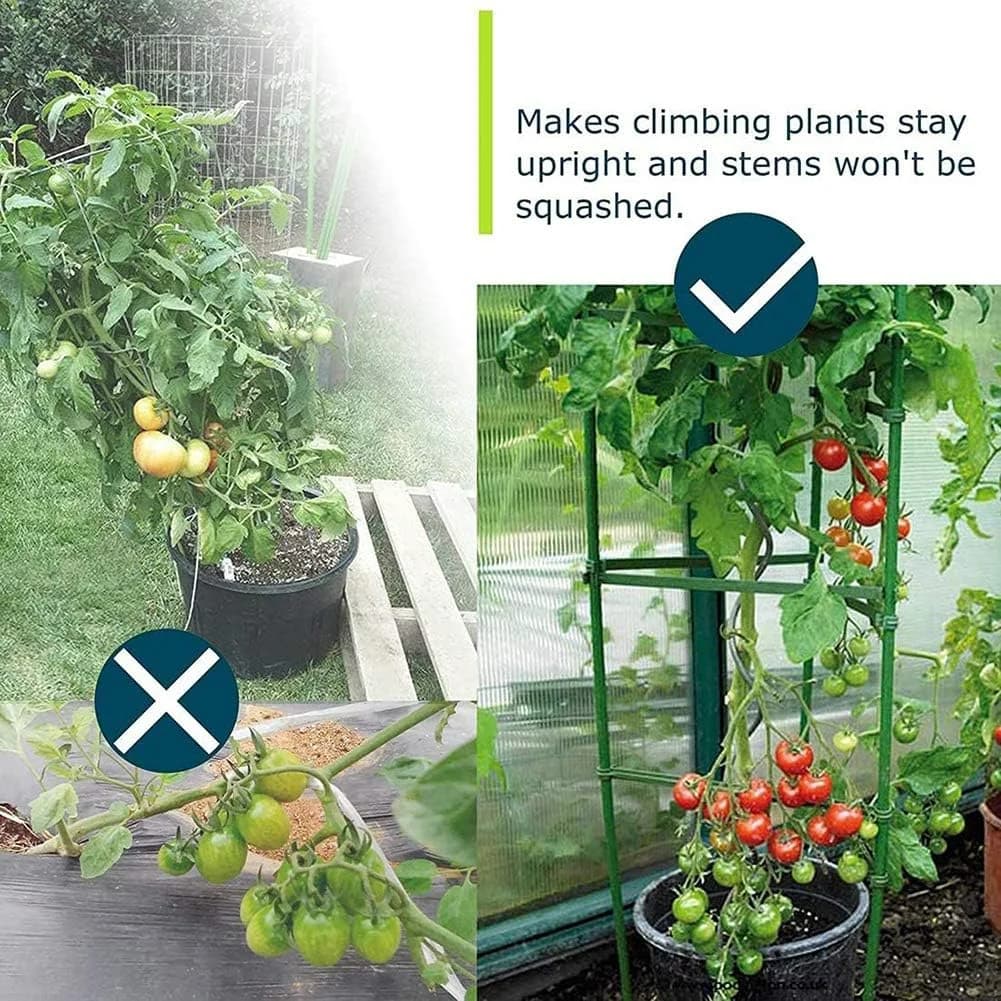 Tomates, jusqu'à 51 amarans de piquets de plantes, grilles végétales assemblées pour plantes grimpan