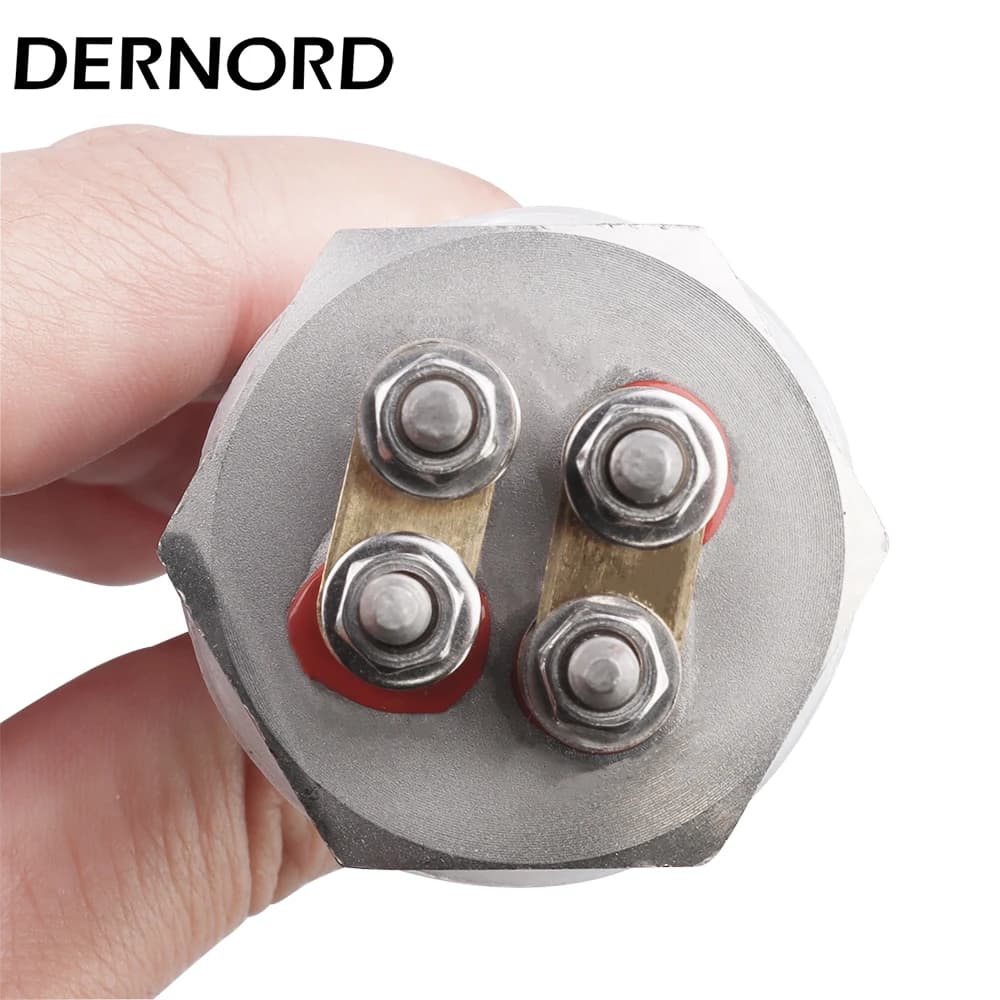 DERNORD chauffage 12V DN25 tubulaire électrique 600w 400w 300w 200w 100w élément chauffant d'eau par