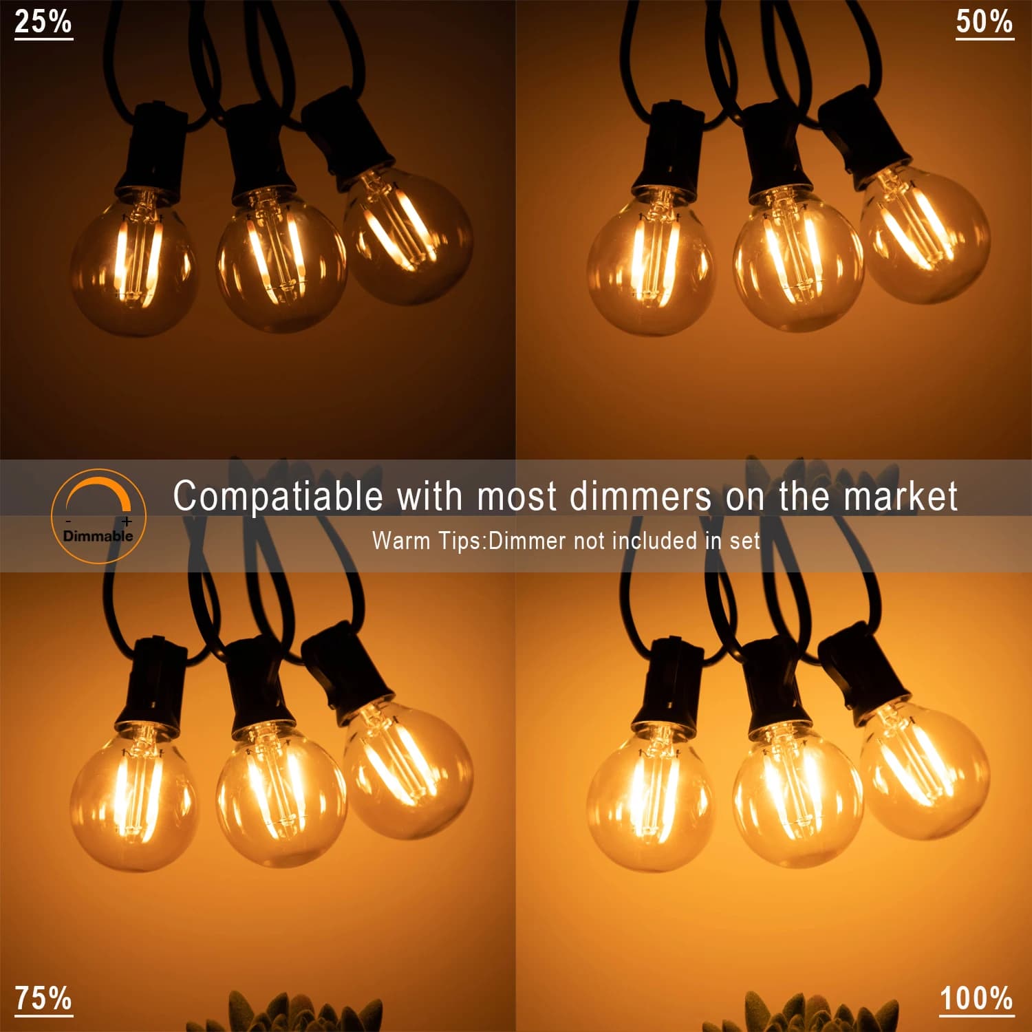G40 décoration extérieure LED chaîne lumières 1.5W Globe ambre verre ampoule Dimmable guirlande fest