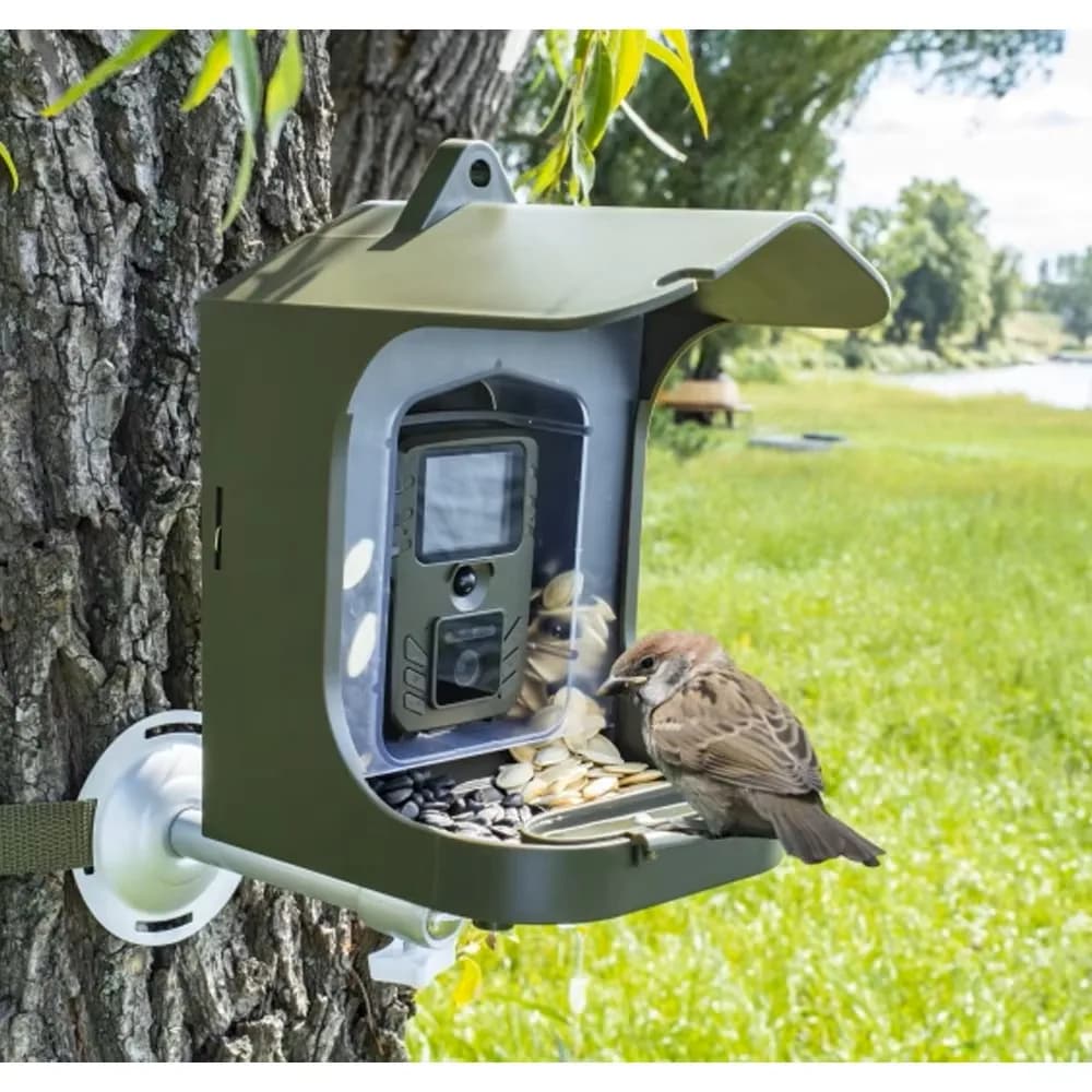 Caméra d'observation des oiseaux BC-303, caméra de Surveillance pour petits animaux avec capteur de 