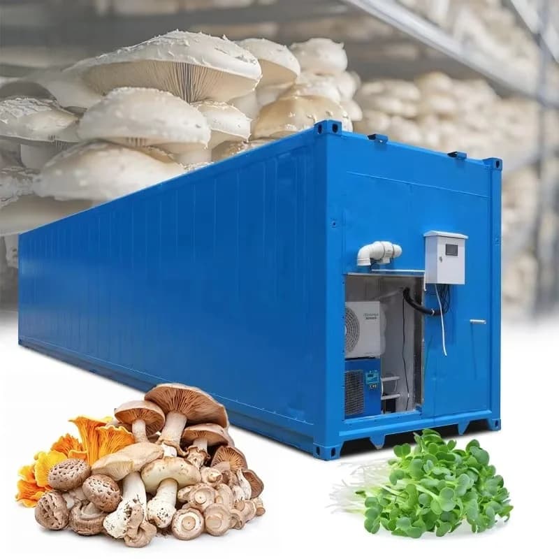Serre de culture de champignons personnalisée, système d'agriculture en conteneur, équipement de cha