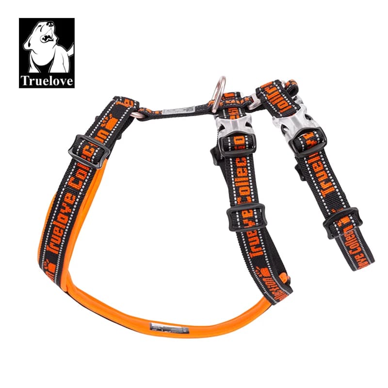 Truelove Double H harnais rembourrage en néoprène Durable fort réfléchissant Gow dans la nuit raccor