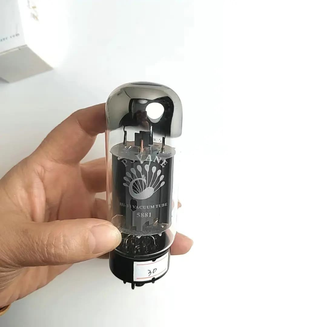 FEIYUE-Kit d'amplificateur de tube électronique PSWars E 5881, remplacement de tube à vide, 588l'aut