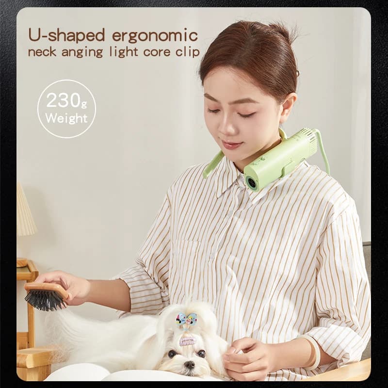 Sèche-cheveux de toilettage pour animaux de compagnie, haute puissance, silencieux, économie d'énerg