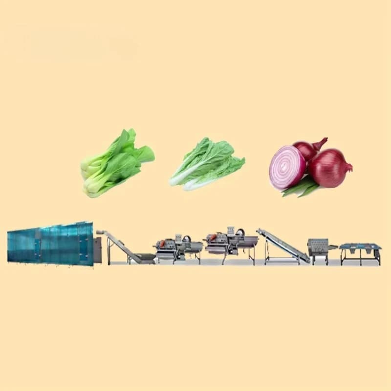 Lave-bulles de fruits et légumes, Machine de nettoyage de légumes, tri, séchage, mousseur, traitemen