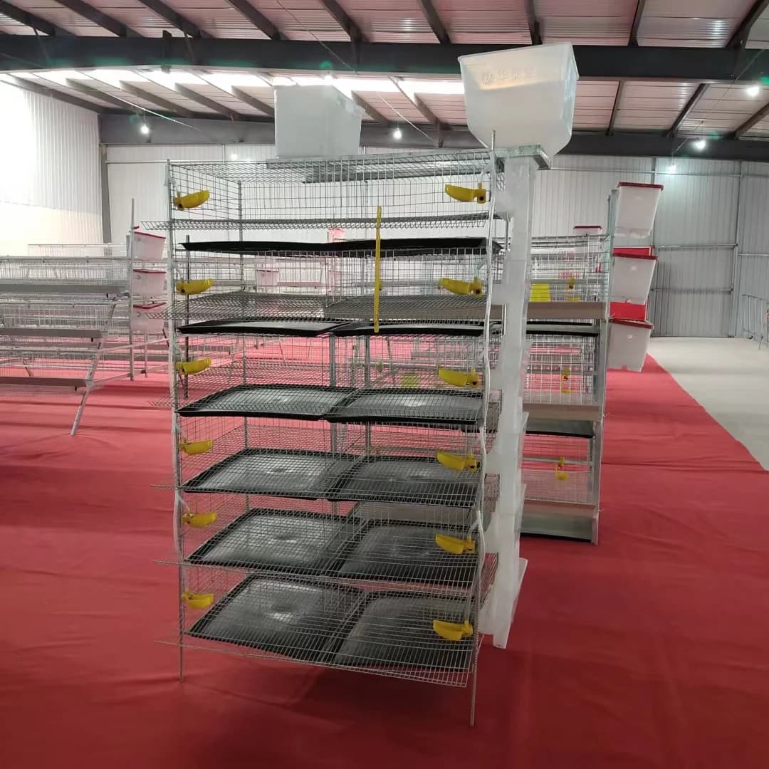 Cage à cailles verticale, capacité de 300 à 400 cailles, Type échelle galvanisée cryptée, Cage à cou