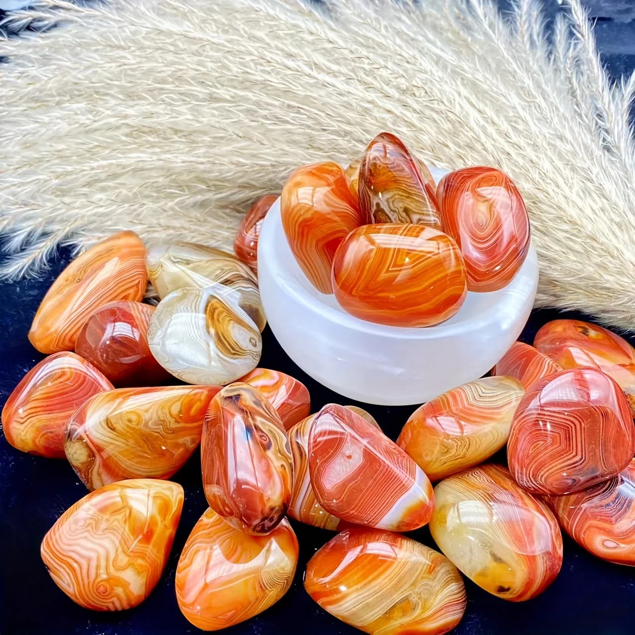 Palmier naturel aléatoire de Sardonyx, pierre de palmier d'agate polie naturelle, cristal de guériso