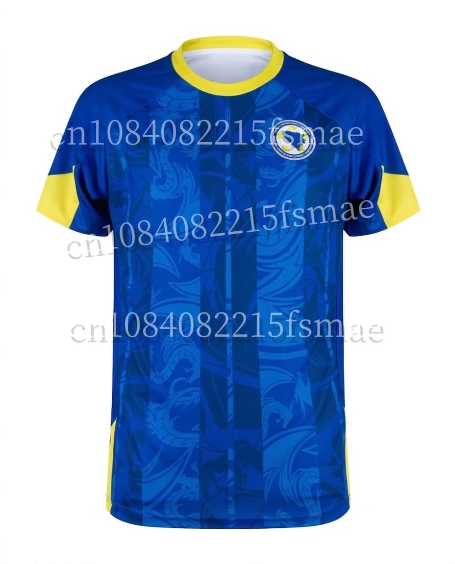 Maillot de football Bosnie-Herzégovine 2025/2026 DZEKO 11 – Maillot d'entraînement pour hommes et en