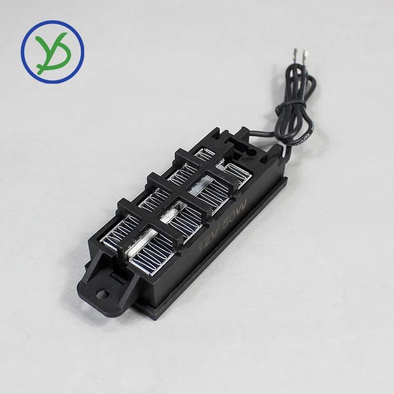 2 pièces 12V ~ 220V 50W ~ 200W incubateur chauffage PTC chauffage électrique en céramique élément ch