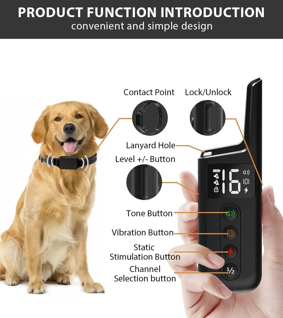 Collier d'Entraînement Surround pour Chien, Anti-Aboiement, Étanche, Rechargeable, Télécommande Élec