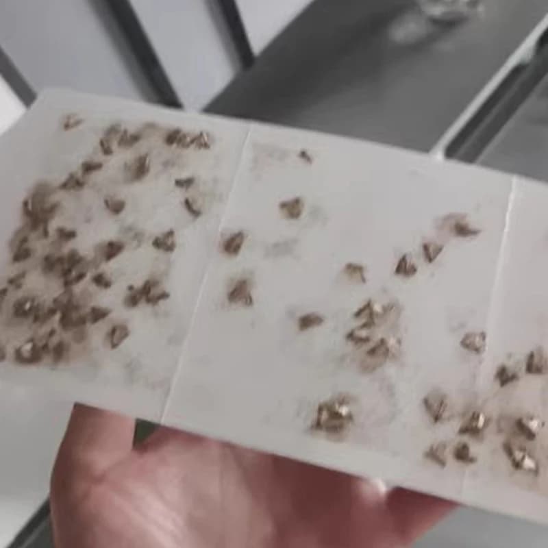 (HMA23) Pièges à mites adhésifs pour cuisine et vêtements avec phéromones, pièges à mites pour placa