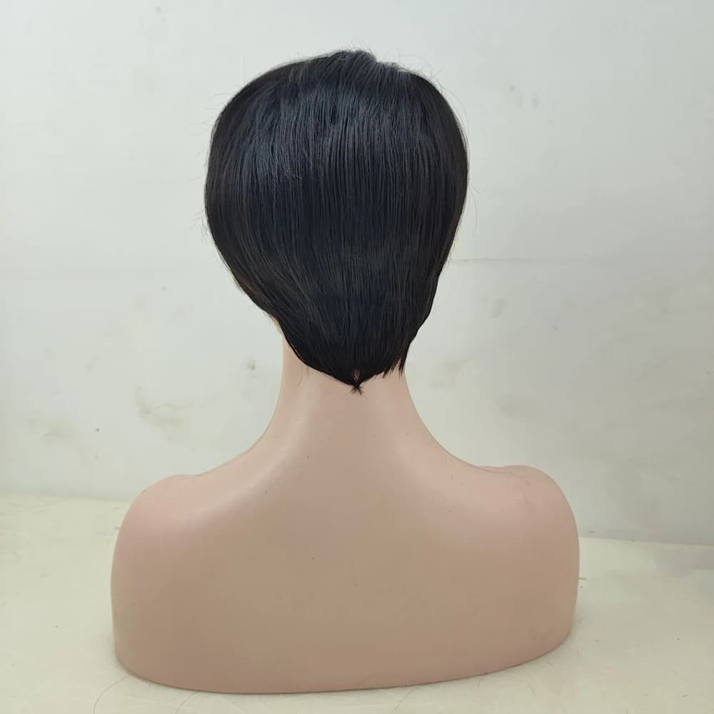 HAIRJOY – perruque synthétique courte et lisse pour femmes afro-américaines